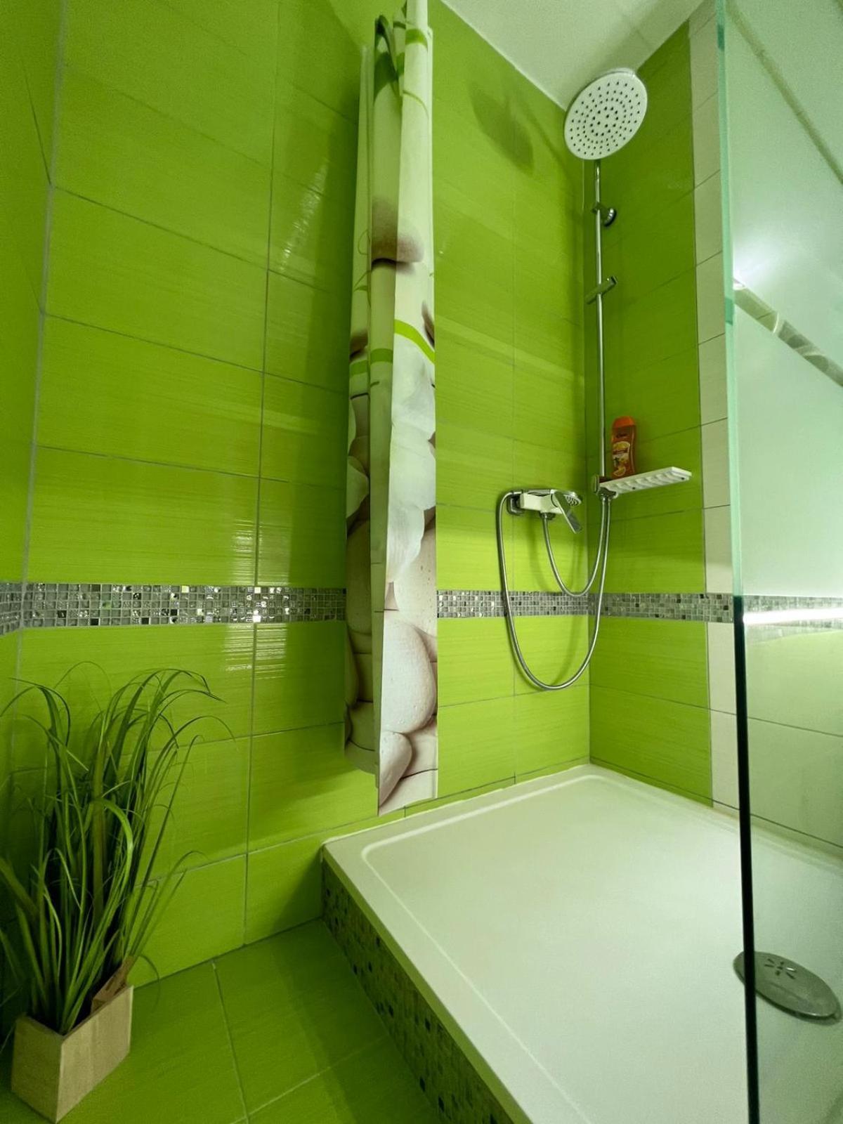 Villa Tamara 比奥格勒·纳·莫鲁 外观 照片